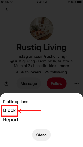 Block option in the Pinterest app