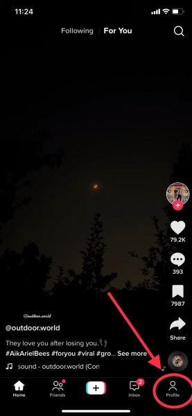 TikTok Profile