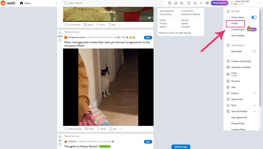 Profile in dropdown menu