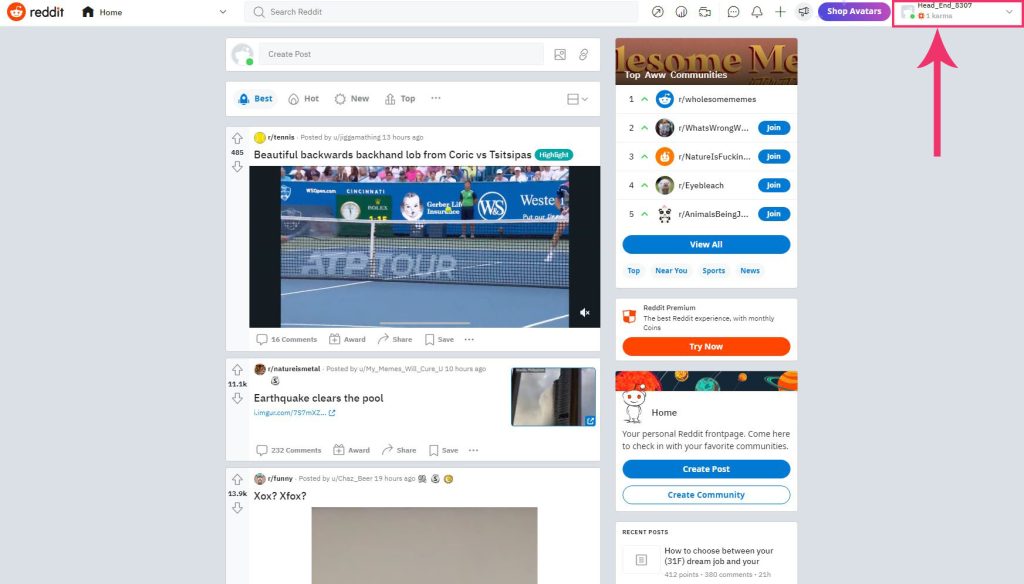 Reddit avatar on homepage