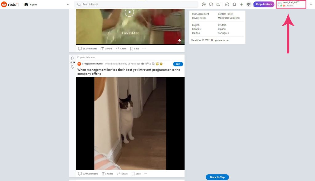 Reddit homepage