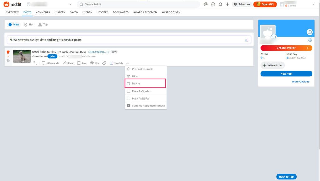 Delete option in the dropdown
