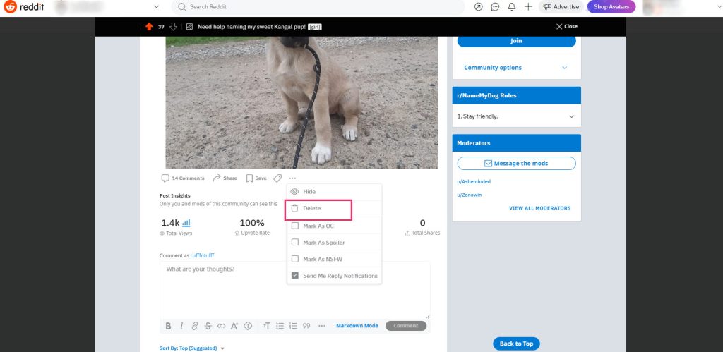 Delete option in the dropdown on post page