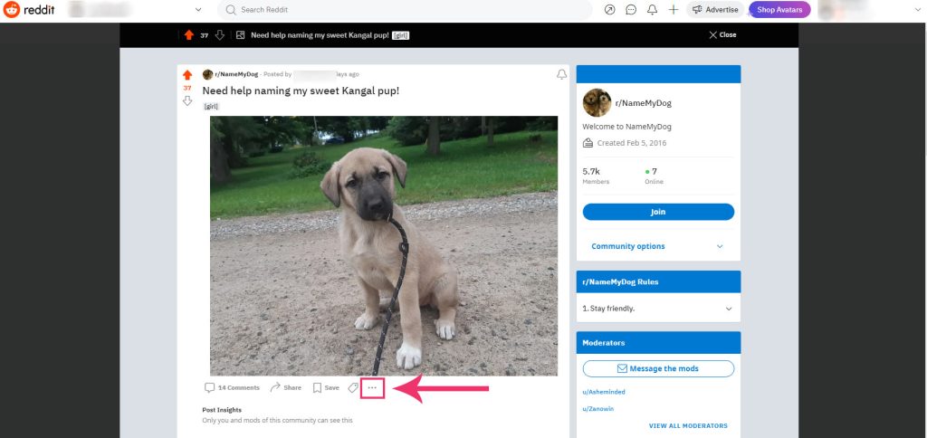 Ellipsis icon on post page