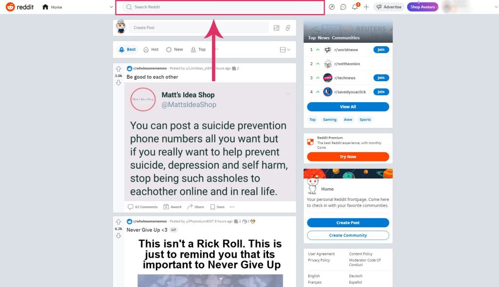 Search box on Reddit