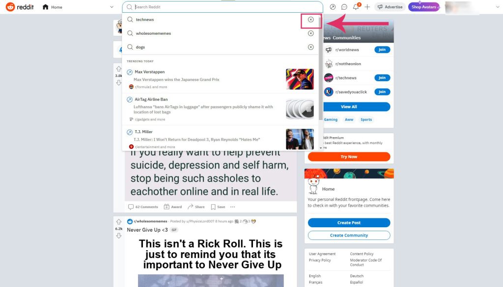 Searchbox dropdown